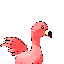 Flaminggo-back.png