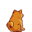 Doge-back.png