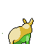 Rinocereed-back.png