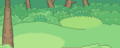 Forest background.png